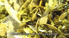 《红海行动》中的黄饼是怎么回事？详述核燃料制作过程