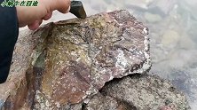 千里提房车回家过五一，途中露营海边赶海，这种海洋动物你见过