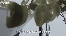 此人自称摸金校尉始祖，发明一盗墓神器，至今考古活动都离不开它