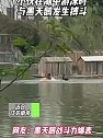 江苏南京：小伙在湖中游泳时，与黑天鹅发生搏斗