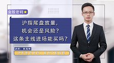 沪指尾盘放量，机会还是风险？这条主线资金进场明显，能买吗？