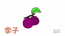 水果简笔画大全，画个李子简笔画