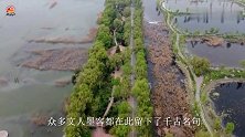 未来泉城最大生态湿地，占地25000亩，济南近郊的小江南