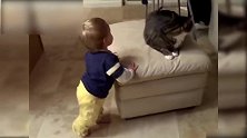 宝宝拿着逗猫棒，猫咪紧追不舍，太好玩了吧！