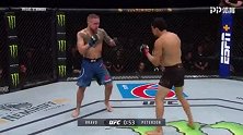 UFC格斗之夜159：马丁-布拉沃VS史蒂文-皮特森