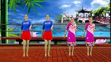 初级入门广场舞《荞麦花》动感32步 适合初学者
