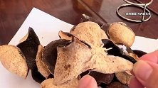 陈皮每斤12.8万元？门店：存放46年仅有4斤，收藏价值远超实用价值