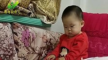 1岁宝宝被爸爸教训了，下一秒小家伙的动作把人笑喷，画面超可爱