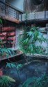冷暖自知，干净如始。