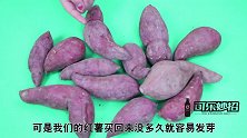 红薯长时间保存易腐烂用上这招，半年都新鲜，网友：早该分享了