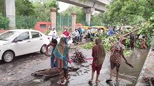 暴雨过后的新德里，没有口罩的贫民，连树干都成了生存物资！