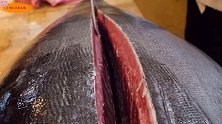 近2米黑鲔鱼王变刺身拼盘，开眼了，精湛刀工料理堪比豪车的食材