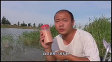 测试自制鲤鱼窝料，两个小时鱼口不断，2.0子线直接拉断