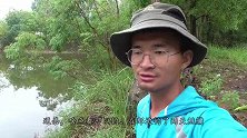 怪不得这么多人喜欢野钓，不收费还能过手瘾，钓多少都没人管