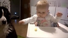 宝宝把虾条分享给狗狗吃，狗狗怕咬到宝宝手，吃的很小心