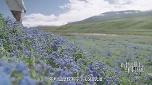 网络纪录片《探秘长江源》之被遗忘的扎溪卡