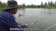 这样的野钓点，3小时钓这么多，换作是你能钓多少？