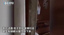 心疼！2幼儿从堆满蟑螂和垃圾的房子中被救出，靠吃流浪狗活命