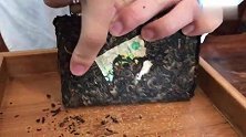 普洱茶砖怎么撬？30秒学会这个技巧！茶块完整简单易学不伤手
