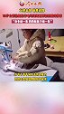 父亲去世 母亲改嫁，10岁女孩熟练操作电动缝纫机帮奶奶赚钱养家：我多缝一条 奶奶就能少缝一条懂事的孩子