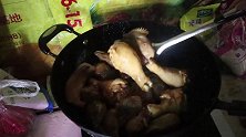 小根今天做卤肉一大锅卤鸡头，4只卤鸡腿妹妹吃的很香！过瘾
