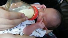 出生第5天的小宝宝喝奶，双手固定，表情认真，可爱极了