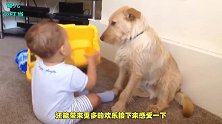 宝宝和狗狗相对而坐，狗狗一直做这样的动作，宝宝都有些不耐烦