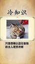 爱猫人士必看的猫咪知识，颠覆你三观