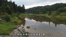 大叔跑10米深的水库收地笼，全程惊险刺激，小白吓得脚发抖