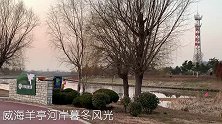 威海羊亭河岸暮冬风光