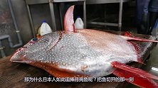 日本人为什么追捧月亮鱼，把鱼切开那一刻，唯美食不可辜负！