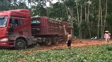 东方红拖拉机拉大卡车，单杠柴油发动机，爆发起来就是牛！