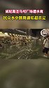 意大利“水城”威尼斯又遭水淹 ，威尼斯民众水中淡定打卡