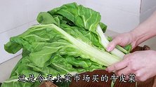 牛皮菜，四川人都爱这样吃，酸辣爽口又下饭，米饭都要多吃2碗