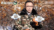 支付宝首款饮料“MA沙棘”正式开售！马云点赞，井贤栋为它打广告