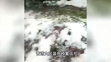 辽宁大连瓦房店市多地遭遇冰雹天气，受灾面积超10万亩