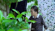 老太婆倚老卖老蛮不讲理，做事不顾及别人感受，终是害人又害己