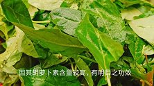 枸杞叶蛋花汤，汤鲜菜嫩三分钟煮好，美味有营养