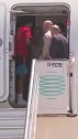 西班牙全队飞抵马德里 队长罗德里展示大力神杯