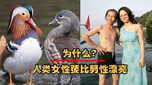 自然界中，雄性普遍比雌性漂亮，为什么人类女性要比男性漂亮？