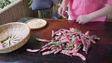 【豆角】菜园子里的豆角熟了，摘些回家做几道家常菜尝一尝！