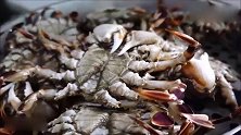 《舌尖上的美食》煮熟的老虎蟹，这颜色让人食欲大开！