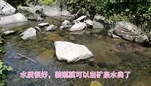 误入大山深处，意外寻得山泉水小溪，收获很多原生态美味