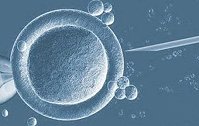 【医羽】染色体异常的胚胎可以进行移植吗？