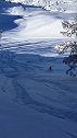阿尔泰山野雪公园之粉雪天堂