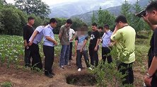 广西女童因撞见同村男子盗窃遭灭口 被拉至田地掩埋