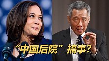 果然又扯上中国！美国副总统到访新加坡，重点谈了这件事！