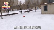 雪地里来了一只小狐狸，坐上雪橇就滑雪，萌萌哒好可爱呀！
