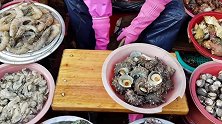 春兰大妈海边摆摊卖海鲜，刚新鲜打捞上来的，直接蘸着酱料吃