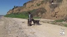 俄罗斯大哥养了两只卡斯罗犬，网友：这训得也太听话了